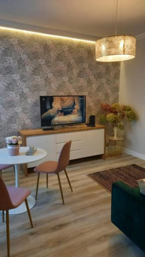 Apartament Wilkońskiego